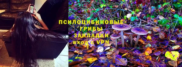 PSILOCYBIN Нягань