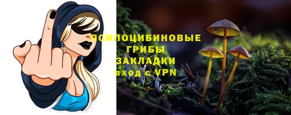 соль ск Видное