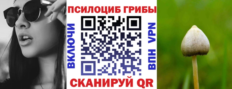 где купить наркоту Иннополис Псилоцибиновые грибы ЛСД